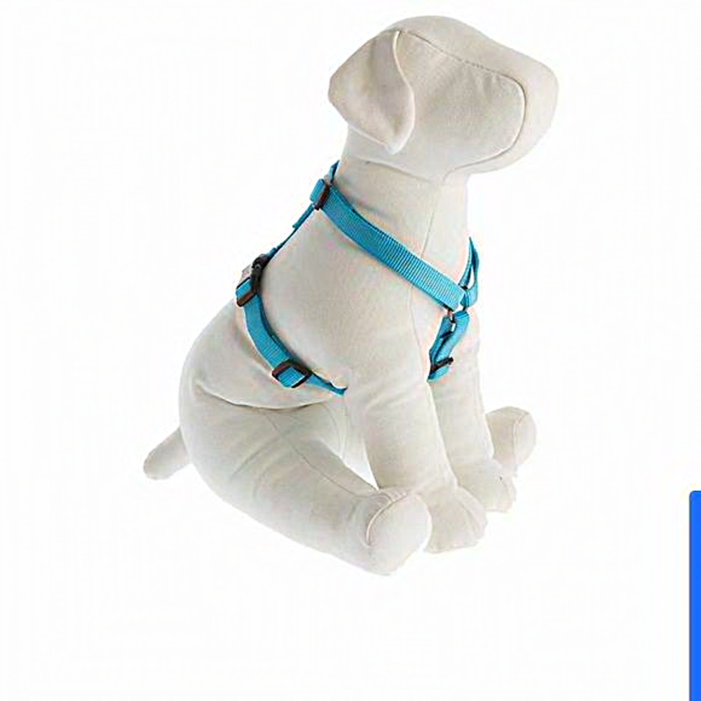 Dog/puppy leash harness and leash -Top Paw, gently used